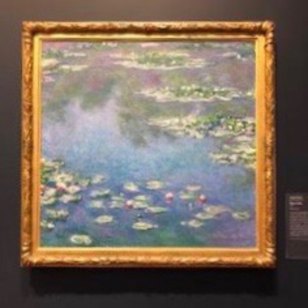 Meet your Posher, Waterlila